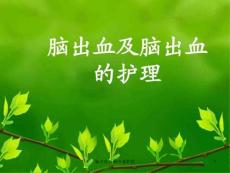 脑出血及脑出血护理ppt课件