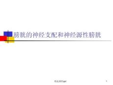 膀胱的神经支配和神经原性课件