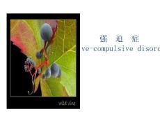 神经症——强迫症课件