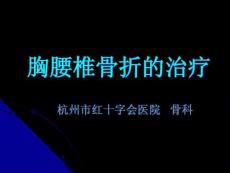 胸腰椎骨折治疗课件