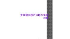 食管憩室超声诊断与鉴别诊断课件