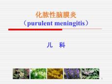 化脓性脑膜炎课件