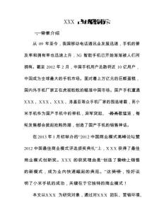 XXX战略目标分析