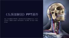 《头颈部解剖》课件
