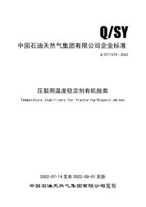 QS/Y 17379-2022 壓裂用溫度穩(wěn)定劑有機(jī)胺類