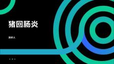 猪回肠炎