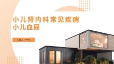 小儿肾内科常见疾病小儿血尿