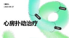 心房扑动治疗