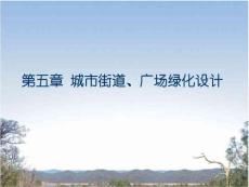 第五章 城市街道、廣場(chǎng)綠化設(shè)計(jì)