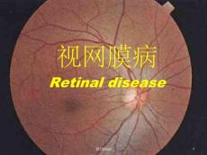 视网膜病图谱课件