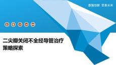 二尖瓣关闭不全经导管治疗策略探索