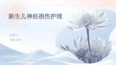 新生儿神经损伤护理ppt