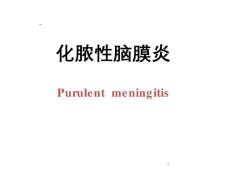 化脓性脑膜炎