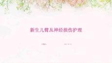 新生儿臂丛神经损伤护理ppt