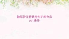 输尿管及膀胱损伤护理查房ppt课件