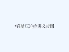 脊髓压迫症讲义带图