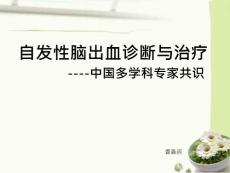 自发性脑出血课件