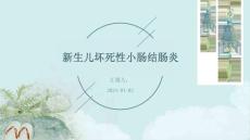 新生儿坏死性小肠结肠炎的ppt