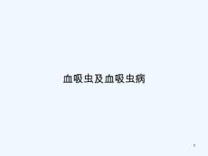 血吸虫及血吸虫病课件
