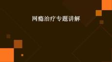 网瘾治疗专题讲解