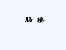 肠瘘-PPT
