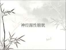 神经源性膀胱