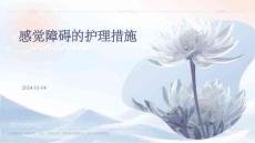 感觉障碍的护理措施ppt