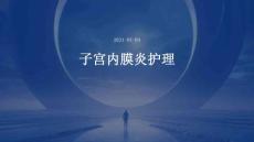 子宫内膜炎护理ppt