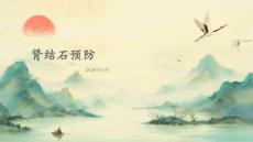 肾结石预防ppt