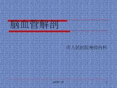 脑血管病解剖课件