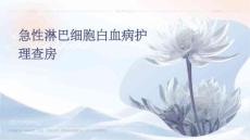 急性淋巴细胞白血病护理查房