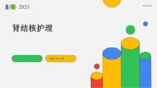 肾结核护理ppt