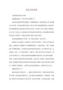 豹龟老流鼻涕.docx