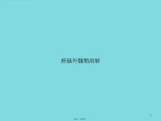 桥脑外髓鞘溶解课件