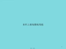 本科上课角膜病课件