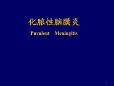 化脓性脑膜炎ppt课件