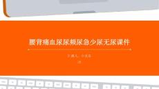 腰背痛血尿尿频尿急少尿无尿课件