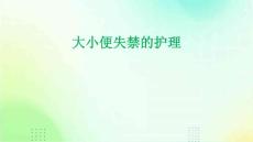 大小便失禁的护理 ppt