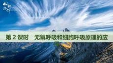 生物-人教版（新教材）-必修1-21-22版：5.3.2 無氧呼吸和細(xì)胞呼吸原理的應(yīng)用（創(chuàng)新設(shè)計）.pptx-第3節(jié)第2課時　無氧呼吸-第5章 細(xì)胞的能量供應(yīng)和利用-課件