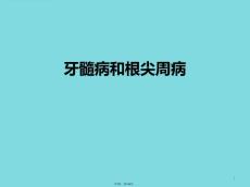 牙髓病和根尖周病(介绍：牙髓)课件