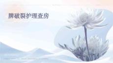 脾破裂护理查房