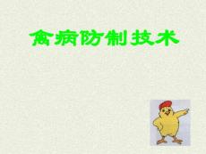 禽霍乱（FC）