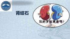 肾结石PPT课件