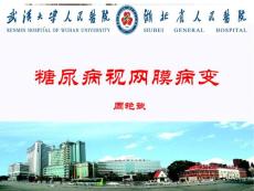 糖尿病视网膜病变-fw