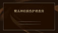 臂丛神经损伤护理查房