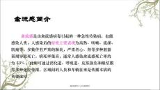 禽流感简介及流感预防.ppt