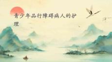青少年品行障碍病人的护理PPT