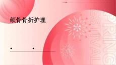 颌骨骨折护理ppt