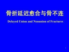 骨不连-课件