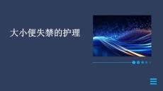 大小便失禁的护理ppt